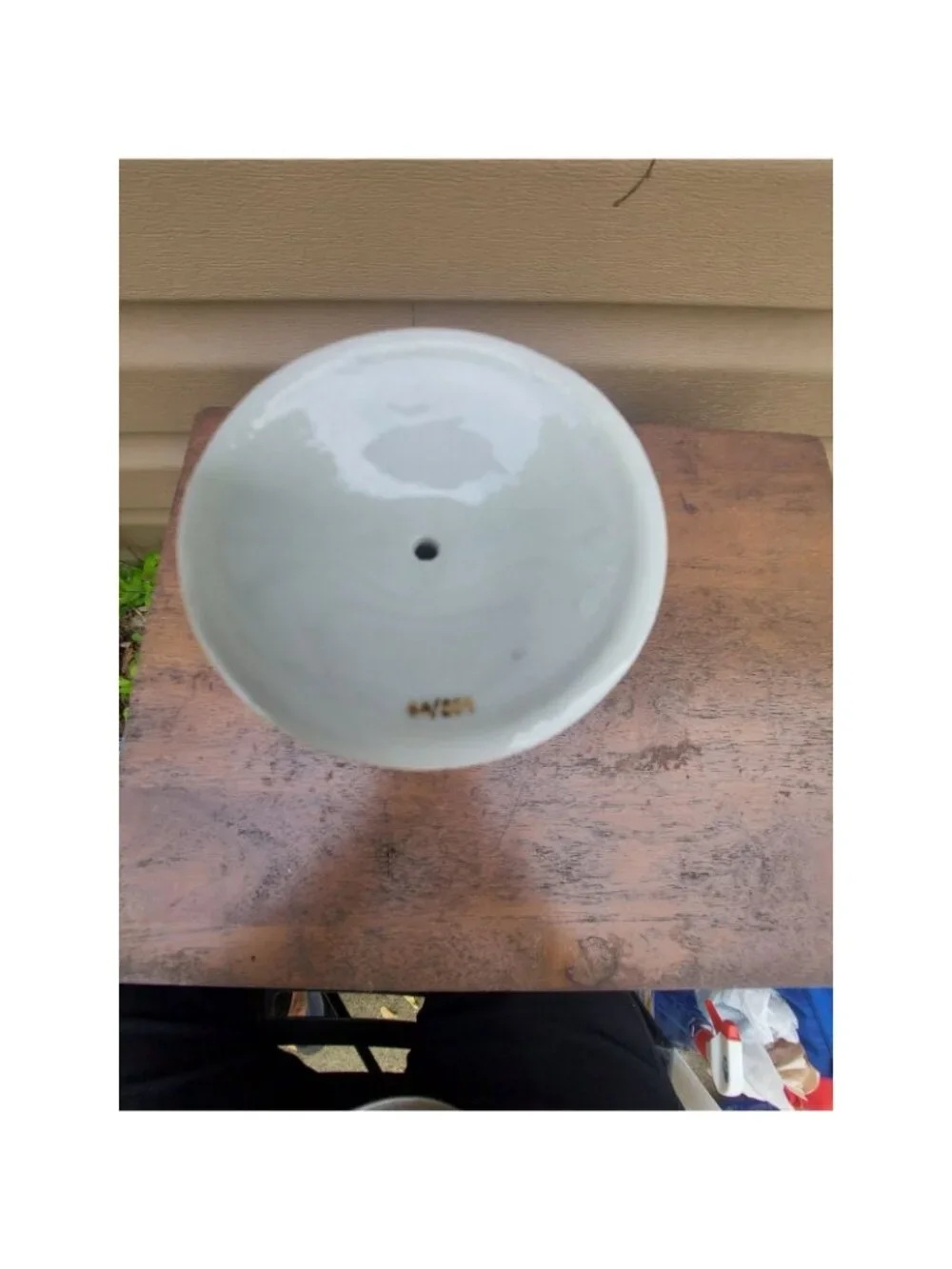 Royal Standard Virginia Stock Chintz Vase